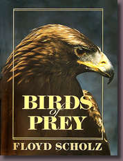 Birds of Prey by Floyd Scholz