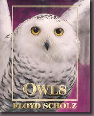 Owls, by Floyd Scholz Owls, by Floyd Scholz