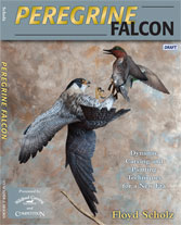 Peregrine Falcon: Dynamic Carving and Painting Techniques for a New Era