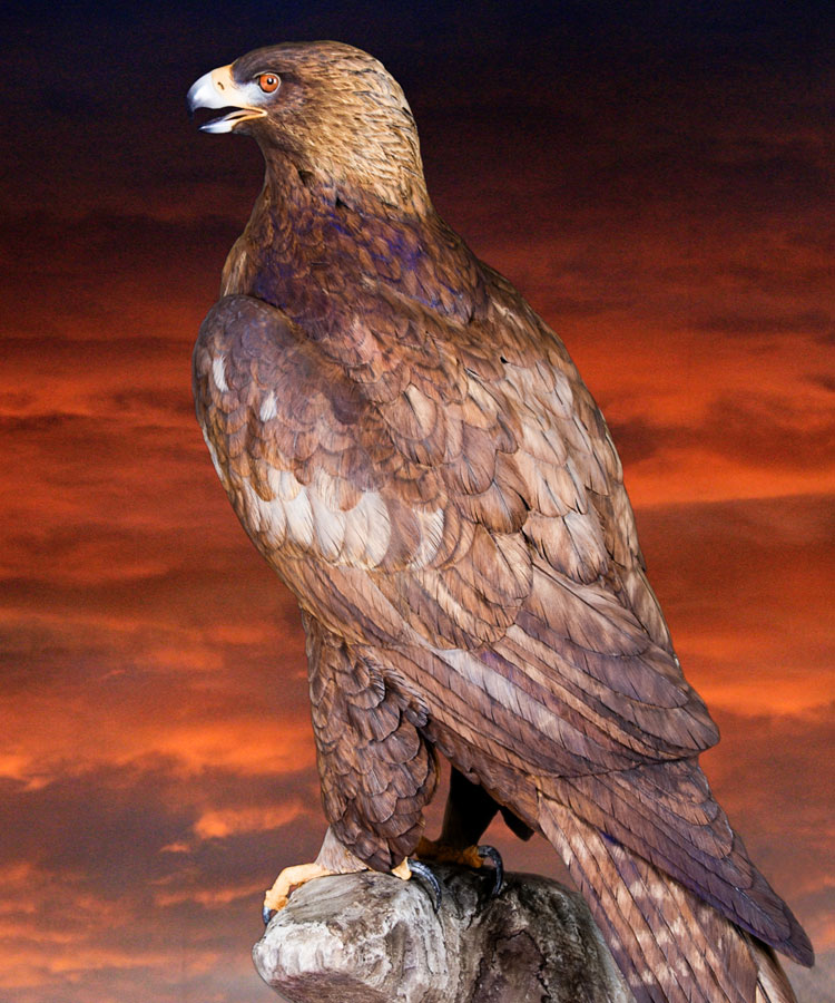 Floyd Scholz Golden Eagle Carving